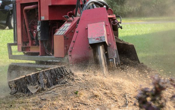 South Bend Tree Removal
