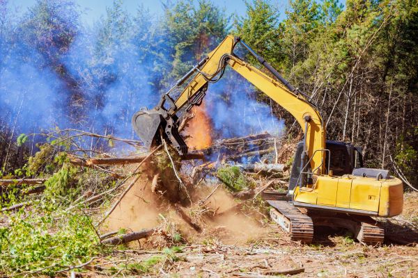 South Bend Land Clearing